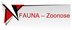 Fauna - Zoonose