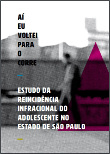 Aí eu voltei para o corre: estudo da reincidência infracional do adolescente no estado de São Paulo