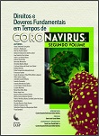 Direitos e deveres fundamentais em tempos de coronavírus - v. 2
