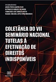 Coletânea do VII Seminário Nacional Tutelas à Efetivação de Direitos Indisponíveis