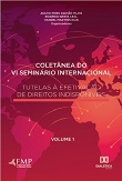 Coletânea do VI Seminário Internacional Tutelas à Efetivação de Direitos Indisponíveis - vol. 1