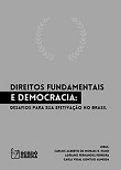 Direitos fundamentais e democracia