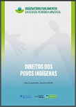 Direitos dos povos indígenas